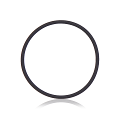 Back Camera Lens O-Ring Gasket - iPhone 12 Pro
