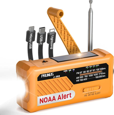 Pronus J-366 Portable Radio